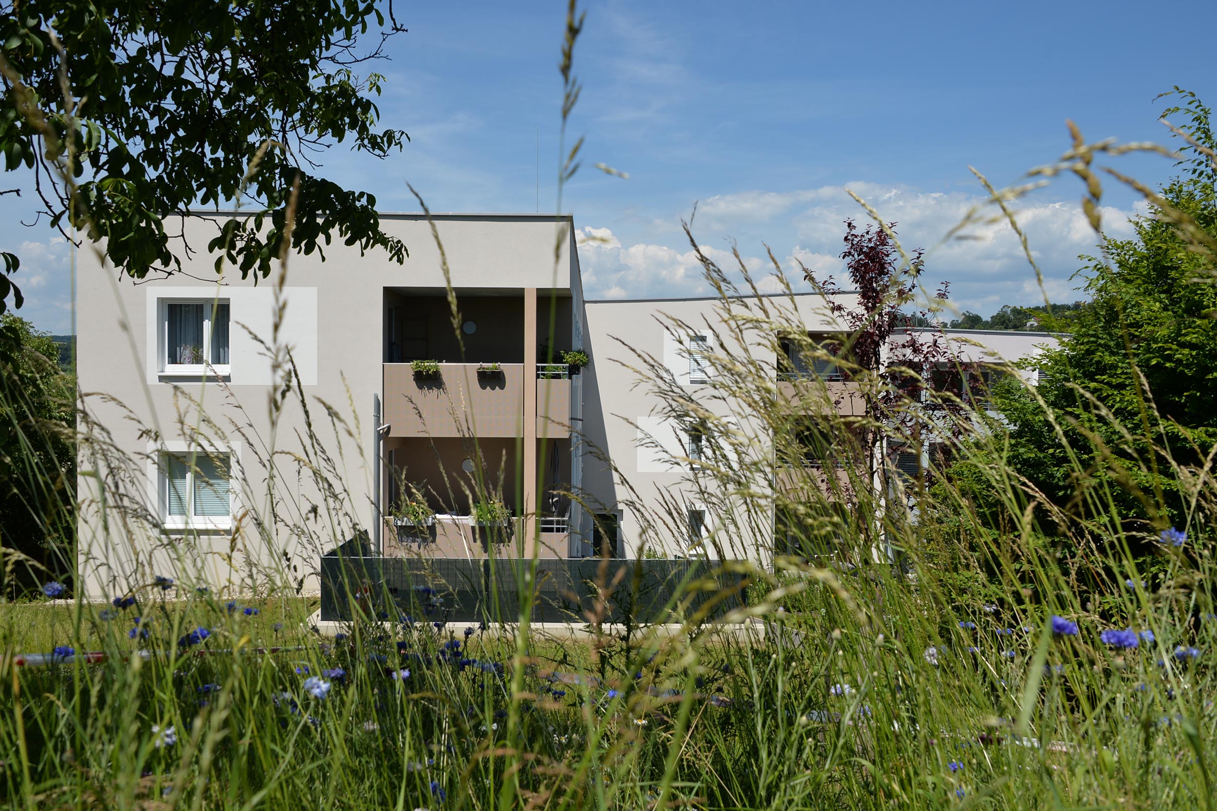 Baumeister EBS St. Georgen
