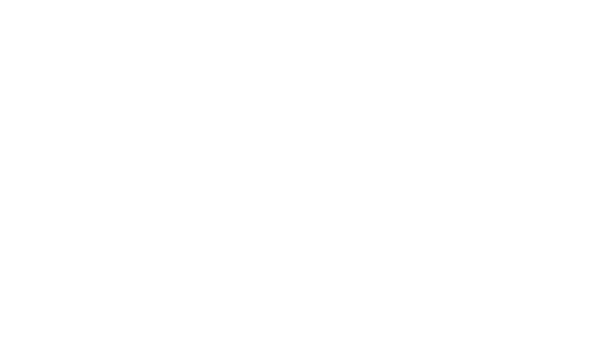 priesnerbau neu