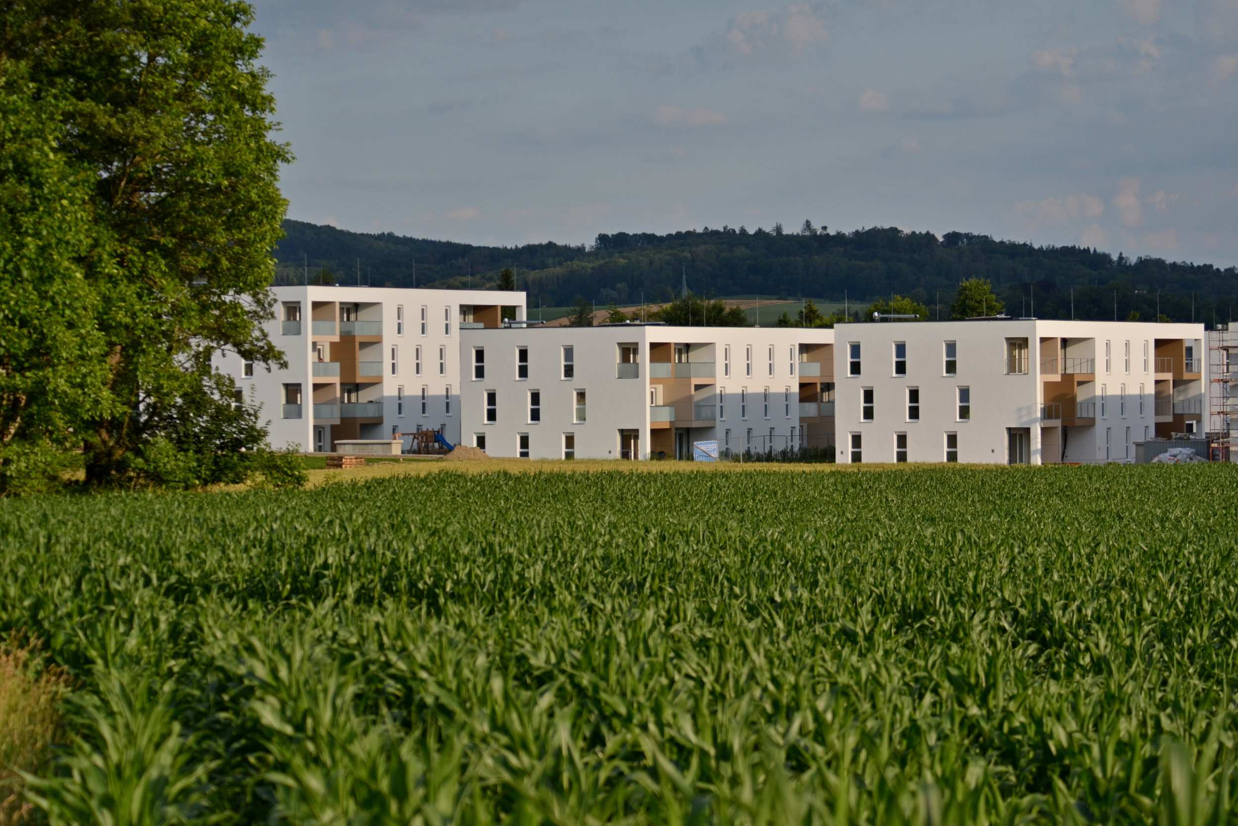 Generalunternehmer für Neue Heimat Walding